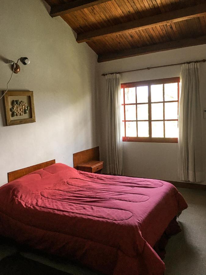 Alamos Federacion