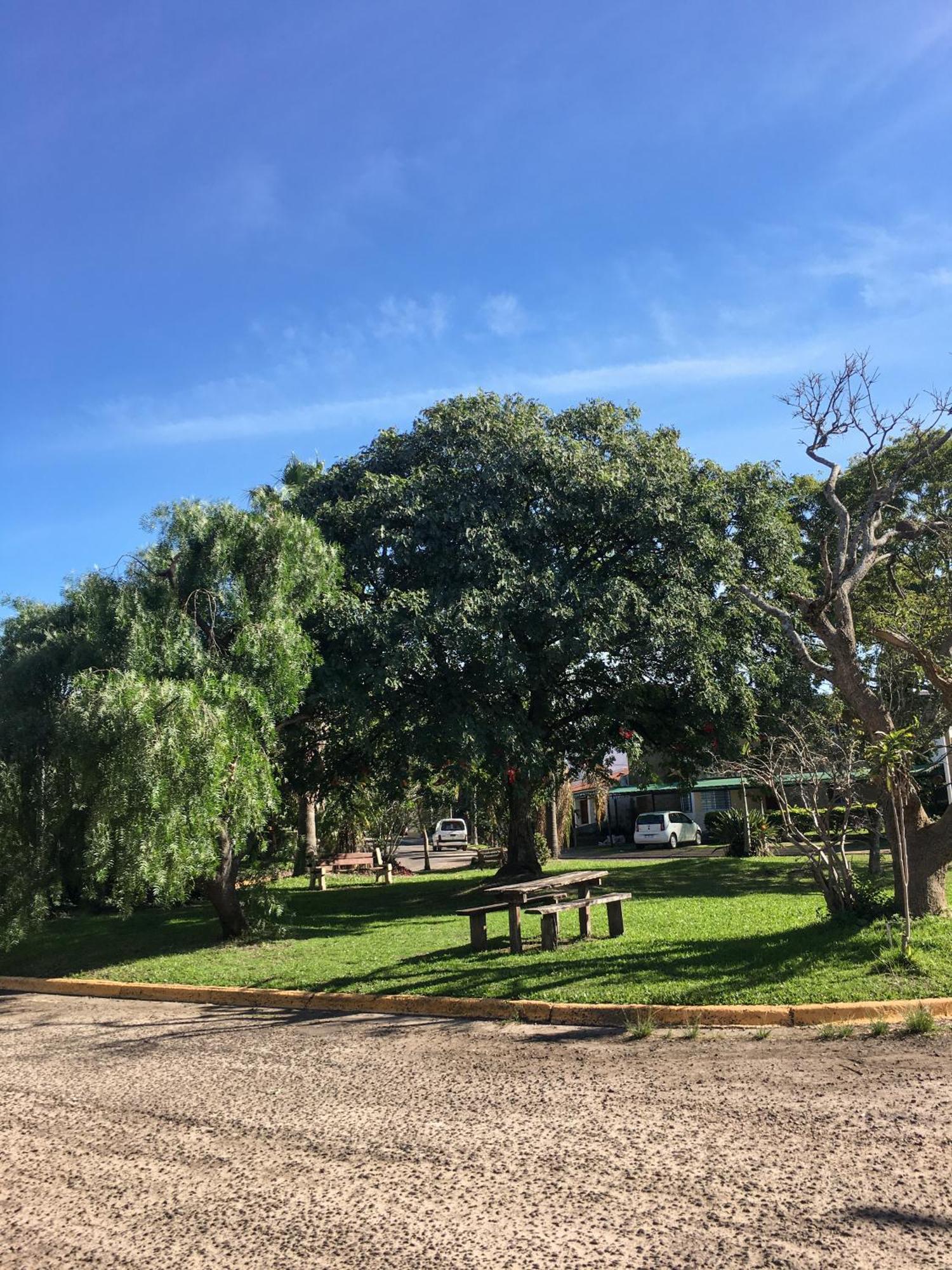 Alamos Federacion